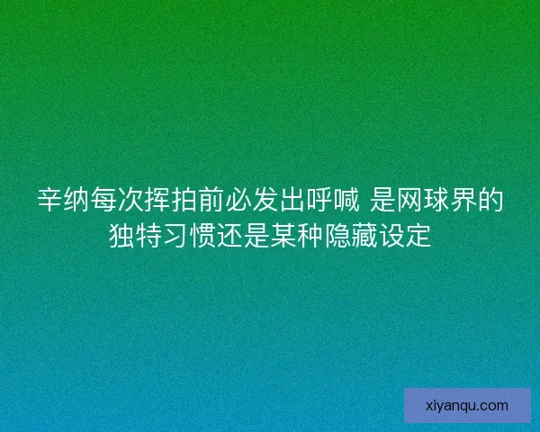 辛纳每次挥拍前必发出呼喊 是网球界的独特习惯还是某种隐藏设定